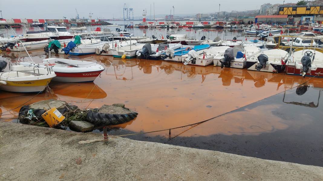 Marmara’da büyük tehlike dip köşe her yeri istila etti 1